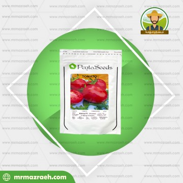 گوجه فرنگی روجا