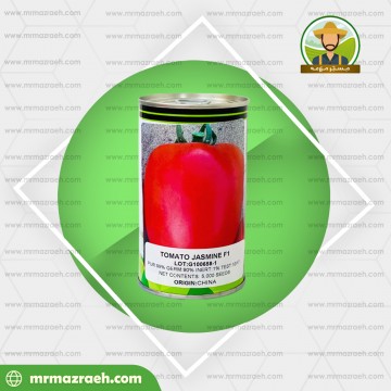 گوجه فرنگی پلاتینو