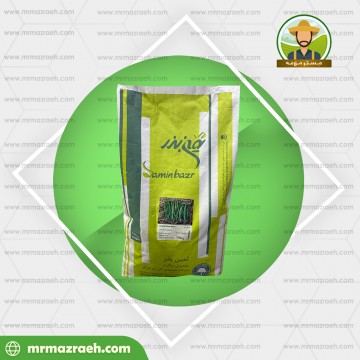 لوبیا سبز ثمین